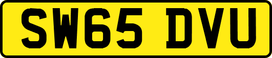 SW65DVU