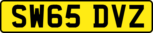 SW65DVZ