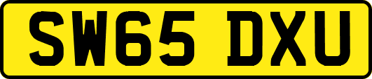 SW65DXU