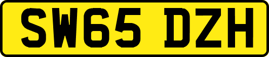 SW65DZH