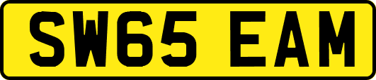 SW65EAM