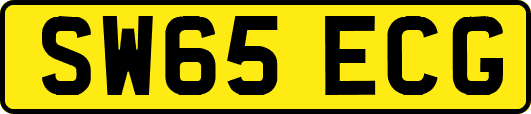 SW65ECG