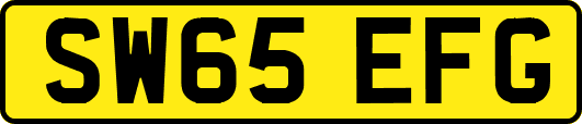 SW65EFG