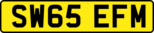 SW65EFM