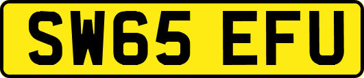 SW65EFU