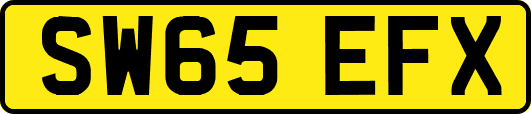 SW65EFX