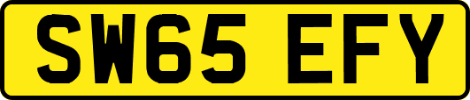 SW65EFY