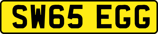 SW65EGG