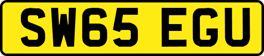SW65EGU