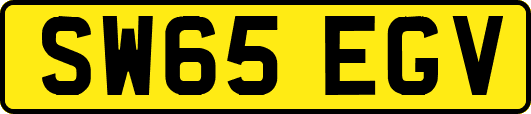 SW65EGV