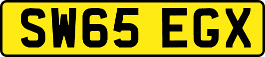 SW65EGX