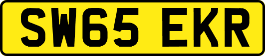 SW65EKR