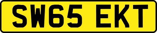 SW65EKT