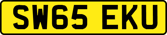 SW65EKU