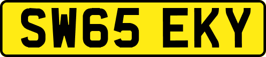 SW65EKY