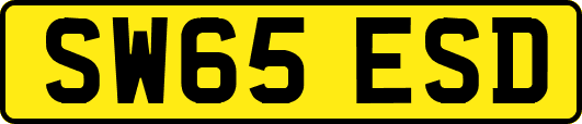 SW65ESD