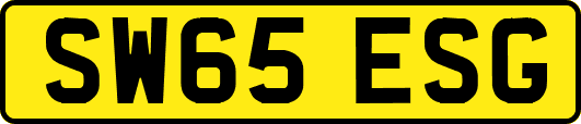 SW65ESG