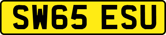 SW65ESU