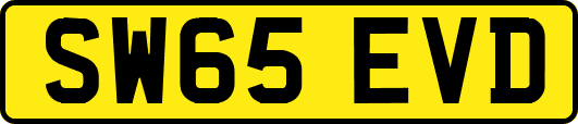 SW65EVD