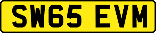 SW65EVM