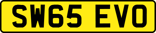 SW65EVO