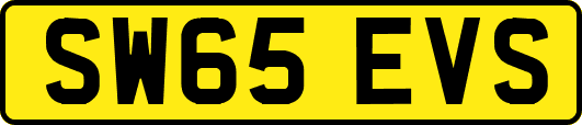 SW65EVS