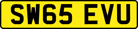 SW65EVU