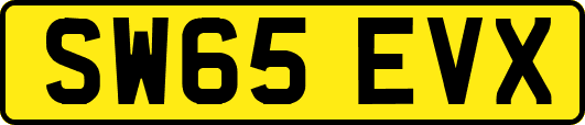 SW65EVX