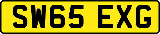 SW65EXG
