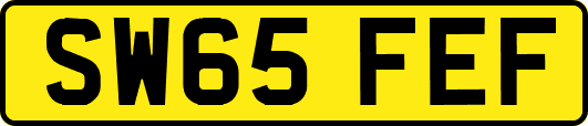 SW65FEF