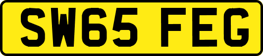 SW65FEG