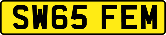 SW65FEM