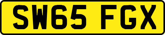 SW65FGX