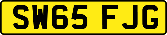 SW65FJG