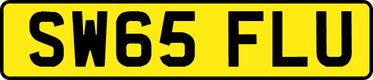 SW65FLU