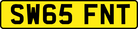 SW65FNT