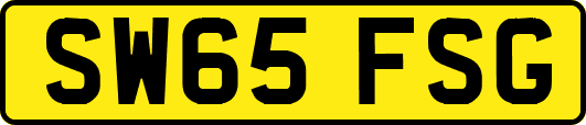 SW65FSG