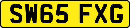 SW65FXG
