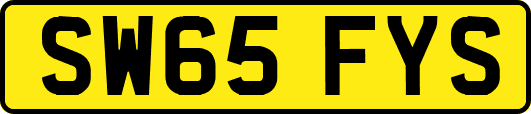 SW65FYS