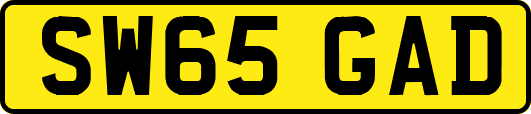 SW65GAD