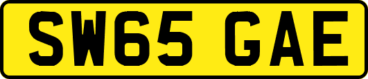 SW65GAE