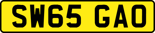 SW65GAO
