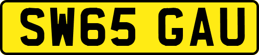 SW65GAU