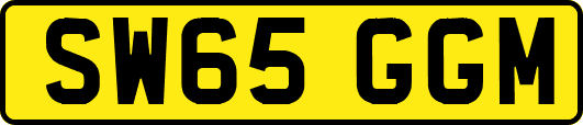 SW65GGM