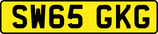 SW65GKG