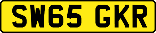 SW65GKR