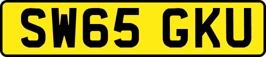 SW65GKU