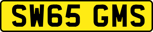 SW65GMS