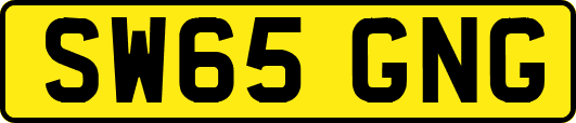 SW65GNG