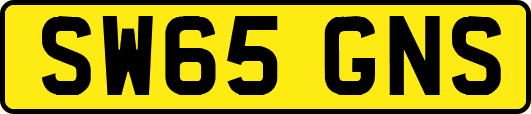 SW65GNS